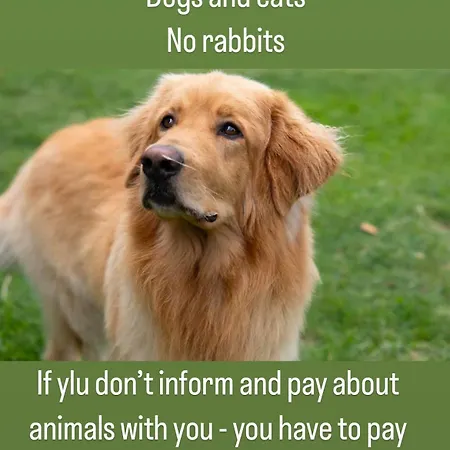 Apartamento Satamanhelmen Naekoealahuoneisto Oulu