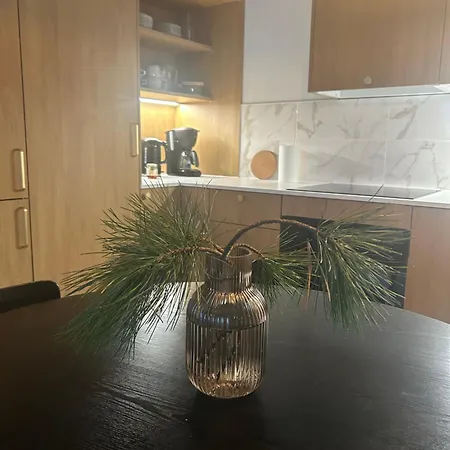 Satamanhelmen Naekoealahuoneisto 公寓 *