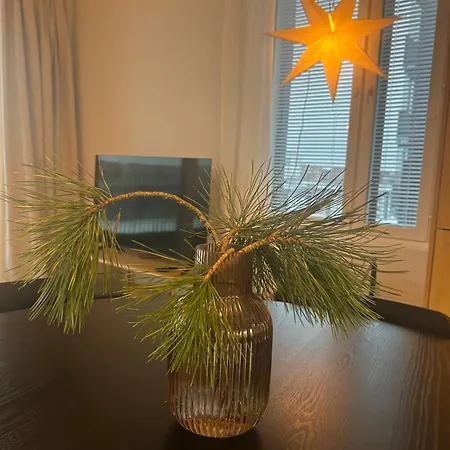 Satamanhelmen Naekoealahuoneisto *