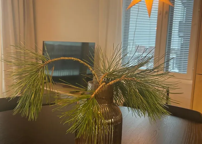 Satamanhelmen Naekoealahuoneisto *